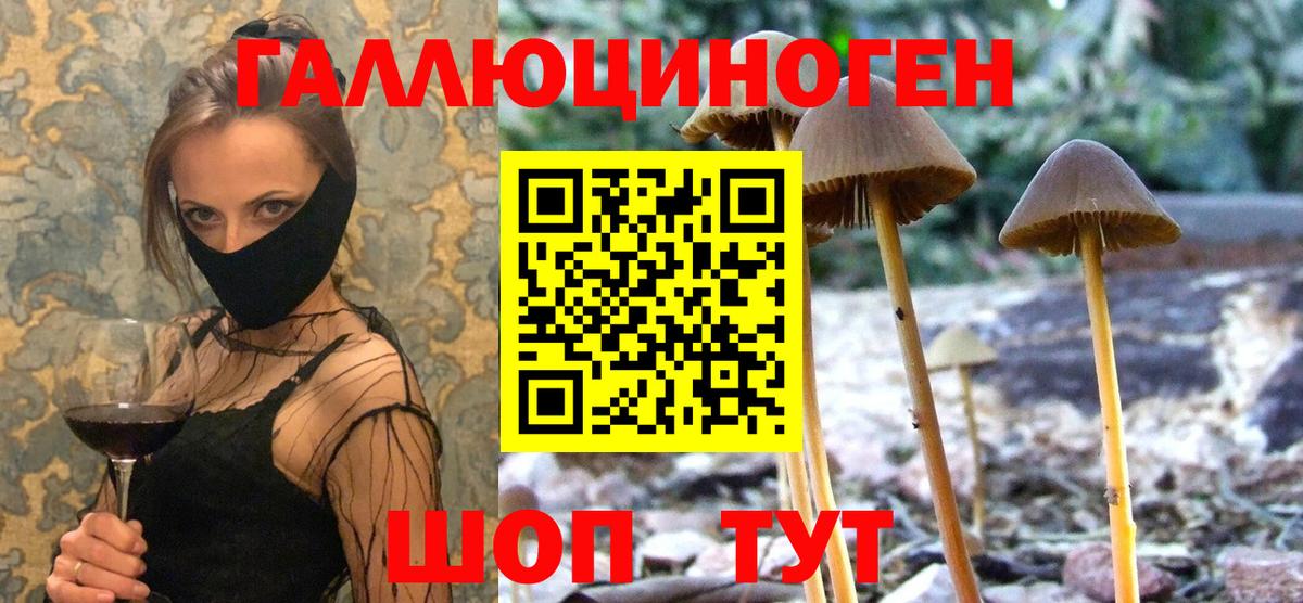 Великий Устюг  Псилоцибиновые грибы мухоморы  Вход с VPN 